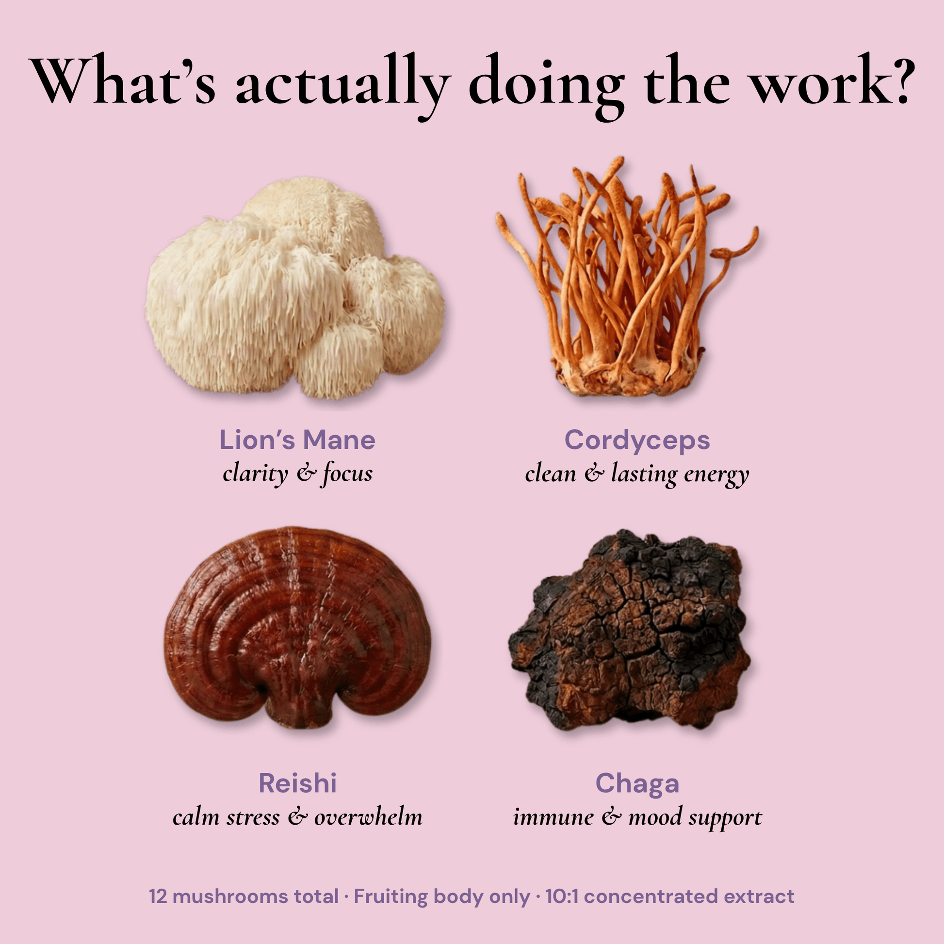 Four Phases Mushroom Gummies — Focus, Clarity & Steady Energy - Lunal